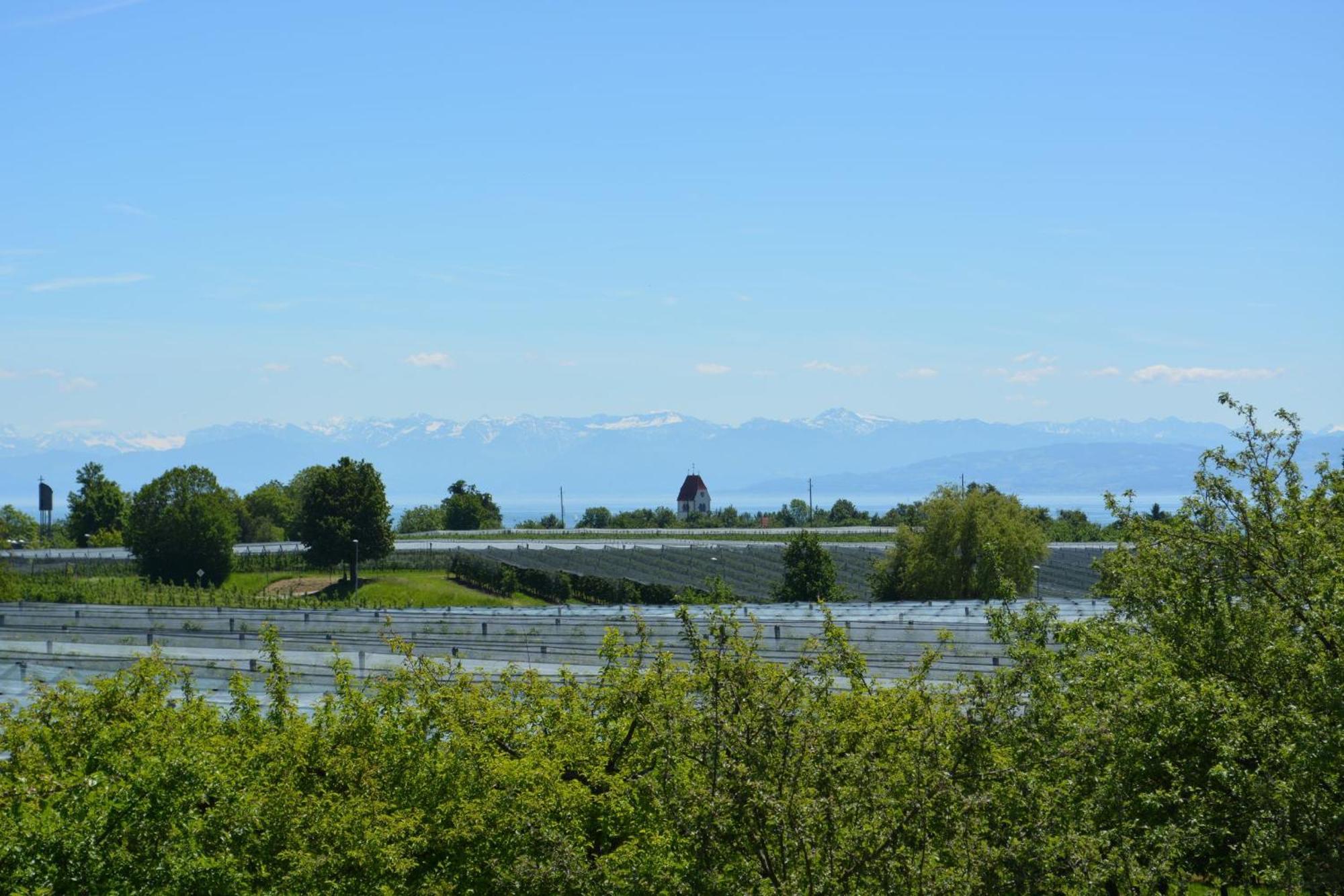Ferienwohnung Plocher Immenstaad am Bodensee Eksteriør billede