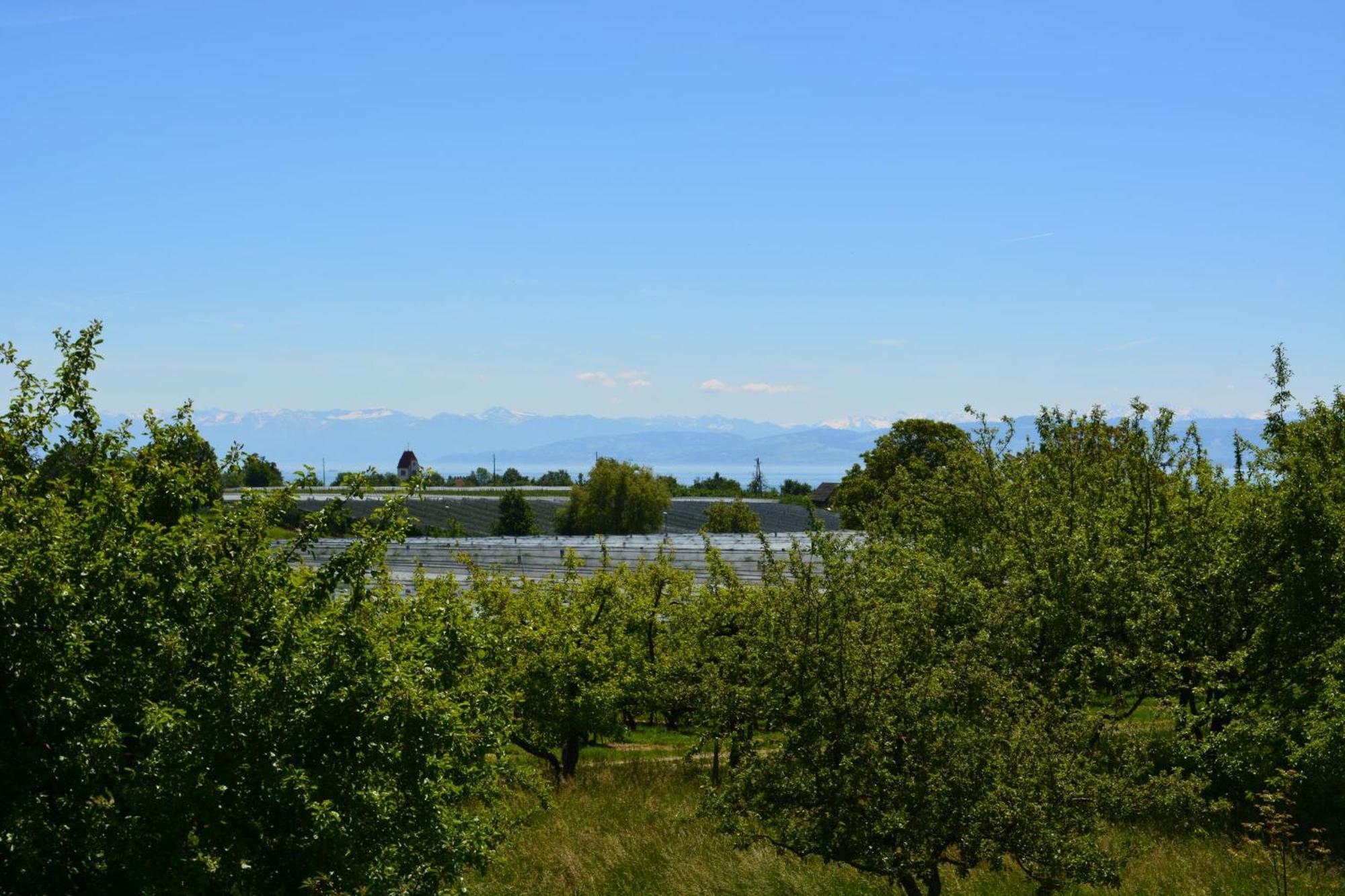 Ferienwohnung Plocher Immenstaad am Bodensee Eksteriør billede