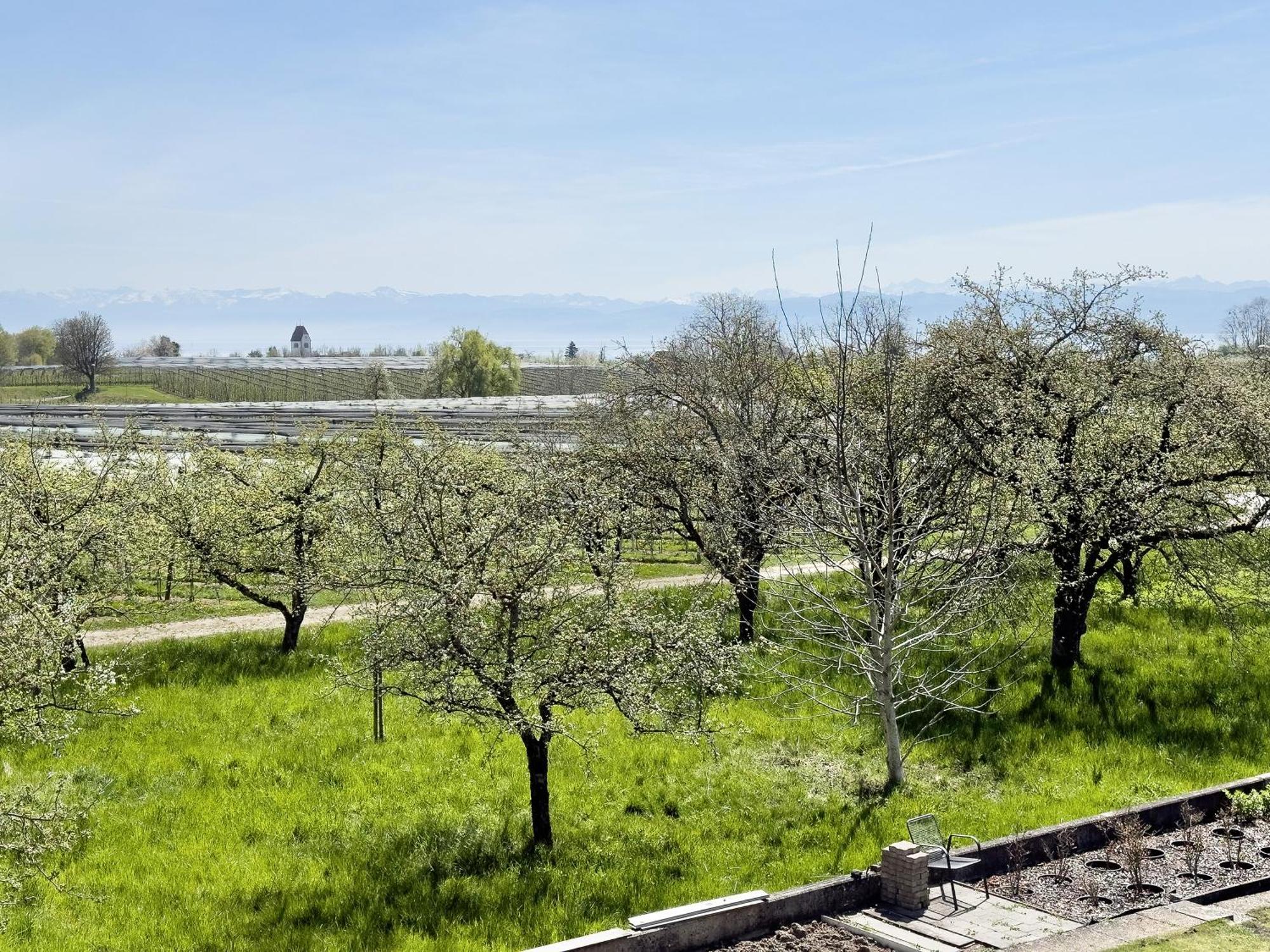 Ferienwohnung Plocher Immenstaad am Bodensee Eksteriør billede